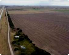 Venta de 480 Hectareas en Ordoñez