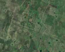 Rauch 284 Ha Campo Ganadero