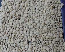 Venta De Avena , Colza, Lenteja, Lentejon, Maíz Blanco, Etc.