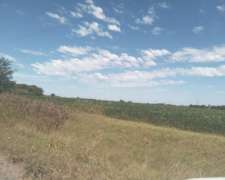 14 Has. Únicas en General Lagos Rosario