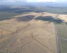 1.239 Has - en Venta - Federal - Entre Ríos