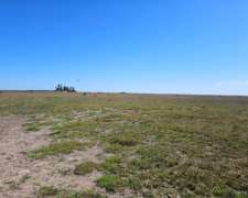 Campo Ganadero Venta 3000 Ha Saladillo