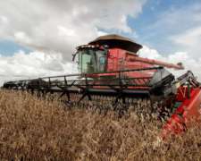 Cosechadoras Case Axial Flow Serie 250