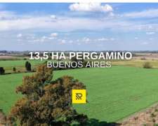 13,5 Ha Pergamino Agricola