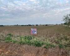 Campo de 13 Has en Venta San Pedro Buenos Aires