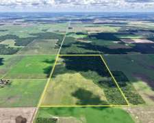 50 Has en Venta - Pcia del Chaco, las Breñas