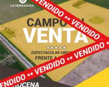 Arocena 45 Has Agrícolas. Frente Ruta. Campo en Venta