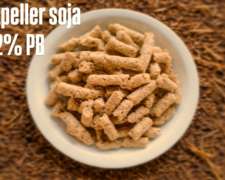 Expeller de Soja 42% PB