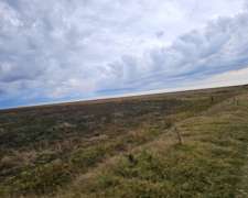 Campo Venta 300 Ha Mixtas Saladillo