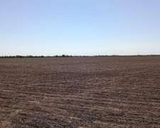 30 Ha Agricolas Santa Clara de Buena Vista