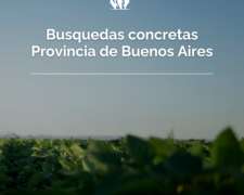 Busqueda Activa - Campos Oeste Provincia Bs.as