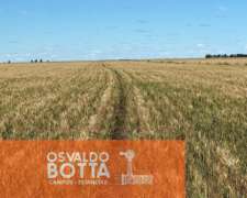 Excelente Campo en Venta en la Pampa