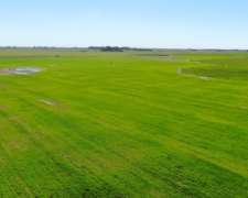 163 Has en Chascomús, Buenos Aires - Mixto - Venta