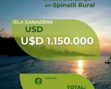 1.150ha de Isla en Victoria Entre Rios