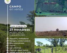 Campo en Venta – Costa Uruguay SUR