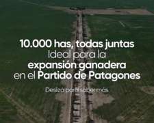 10.000 Hectáreas Ganaderas Patagonia Norte