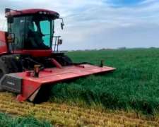 Segadora Case WD1904 C/merger