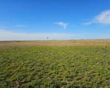 Campo Venta 120 Ha Ganaderas Saladillo