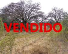 Campo de 1000 Has en Ruta 154, la Pampa