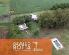 Campo Agricola en Venta 238 Hectareas en Suipacha