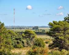Venta En Campo Pinamar - 350 Ha