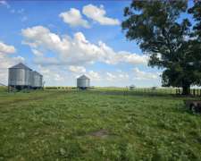 Campo Mixto Pila, Buenos Aires 611 Ha + 700 Ha