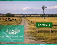 Campo En Venta - 3200 Ha - Provincia De San Luis
