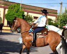 Yegua Criolla. Inscripta en Sociedad Rural Argentina