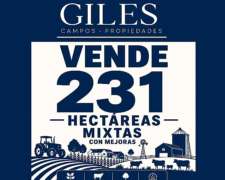 Campo Mixto 231 Hectáreas Ramallo