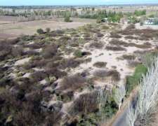 Terreno De 5 Hectáreas En Venta – Centro De Gustavo André, L