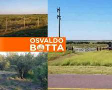 1255 Hectáreas en Loventuel, la Pampa