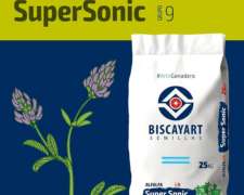 Alfalfa Biscayart Supersonic G9