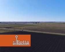 Campo Triguero Muy Bueno - 72has Jacinto Arauz, La Pampa
