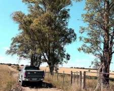 212 Ha Algarrobo Sobre Ruta 22