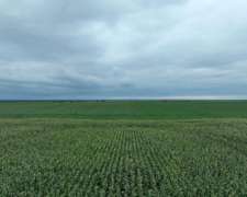 Pcia. de Catamarca - Bañado de Ovanta 437 Ha