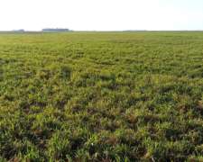 Olavarría Buenos Aires Argentina