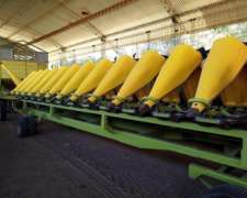 Allochis, Mod. Híbrido, de 13/52, año 2021