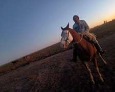 Puestero, Casero, Tambero Etcétera