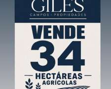 34 Has Agrícolas San Pedro
