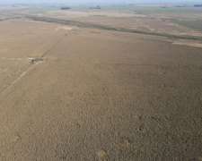 Campo en Venta de 217 Has en Rosario. Agricola