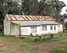 300 Hectáreas Ganaderas, Próximas a Maipu.