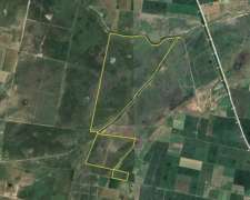 660 Hectáreas Ganaderas en Clarke