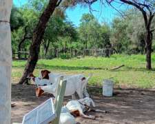 Zona General Guemes Chaco