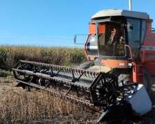 Massey Ferguson 5650. Plataforma De 19 Pies. Horas 3861.