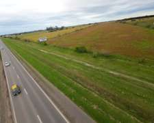 Alquilo Campo Agrícola en Alvear Sobre la Ruta 18