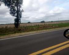 Ea 2500 Has .venta Agricolas Ruta 12