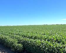 Vendo Campo en Zona Quimili