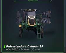 Caimán SP año 2020 Botalón 36