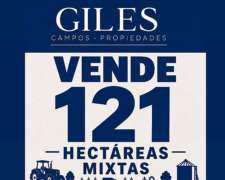 Campo Mixto 121 Hectáreas San Pedro Bs As