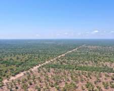 Pcia. de Santiago del Estero - Ambargasta 8903 Has